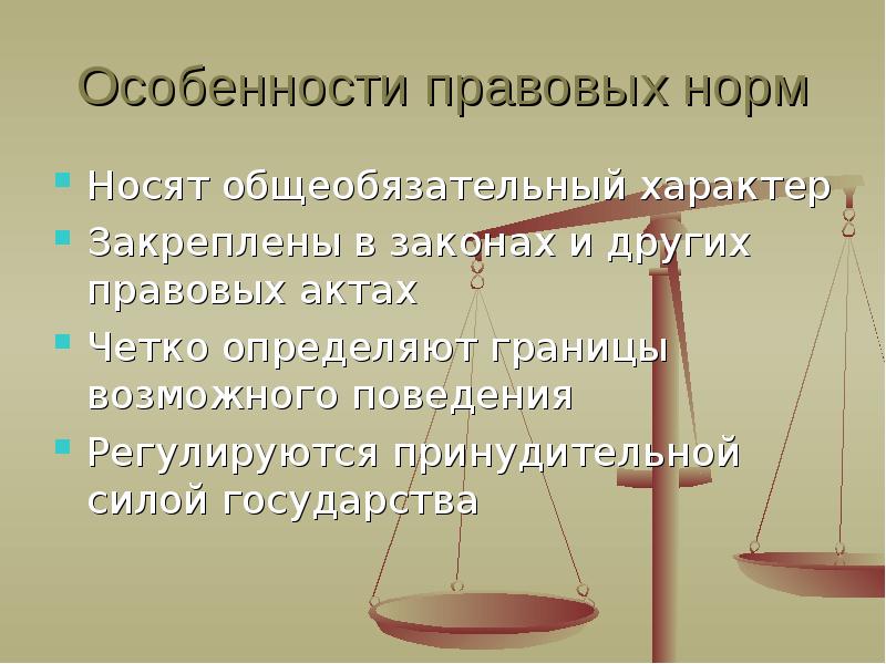 Особенности правовых норм