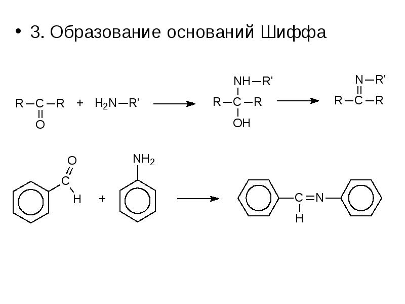 Образование оснований