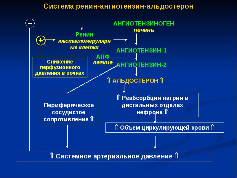 Презентация заболевание надпочечников