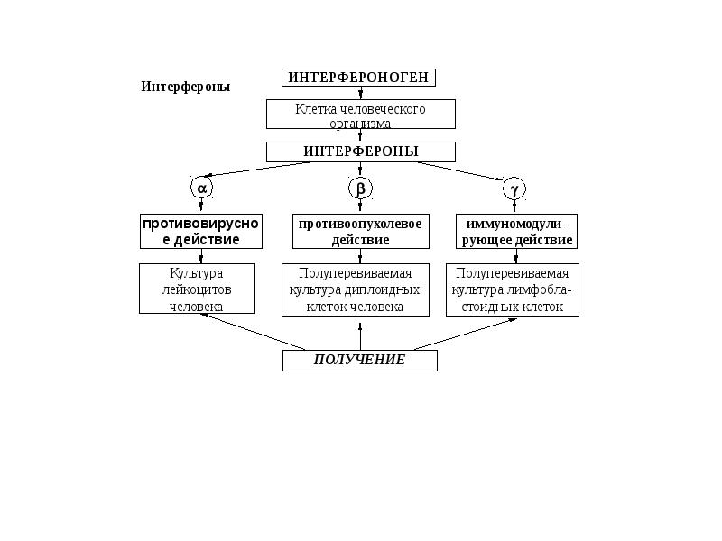 Технологическая схема получения интерферона