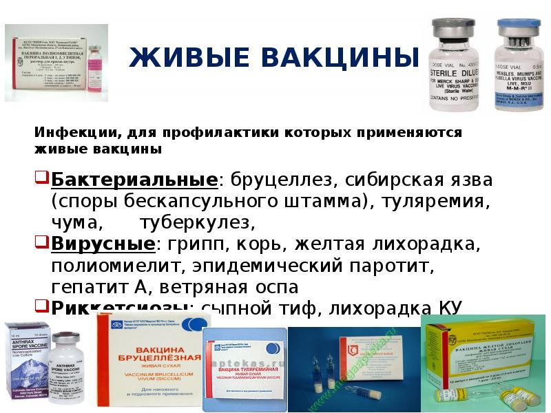 Жив вакцина. Живые вакцины. Живые вакцины примеры. Прививки живые и неживые вакцины. Живая не Живая вакцина это.