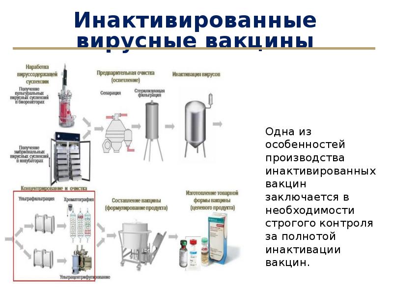 Биотехнология вакцин презентация