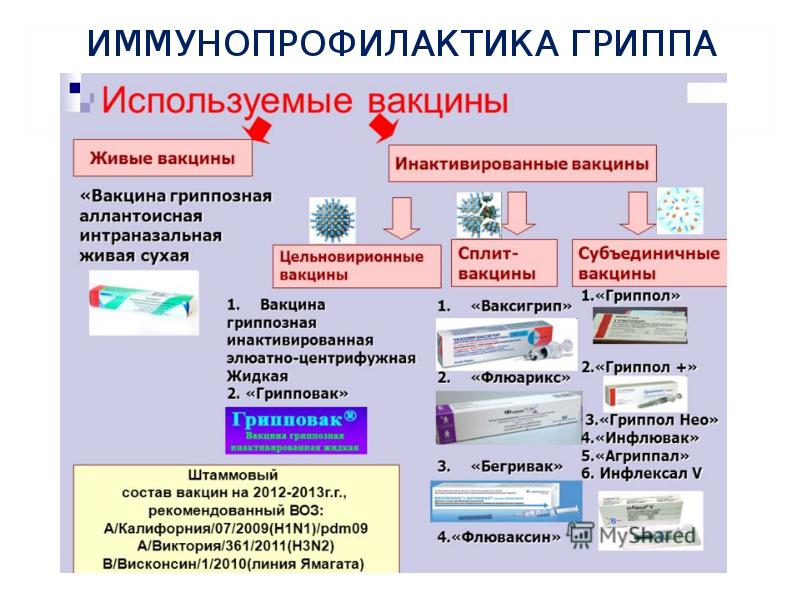 Характеристика современных вакцин презентация