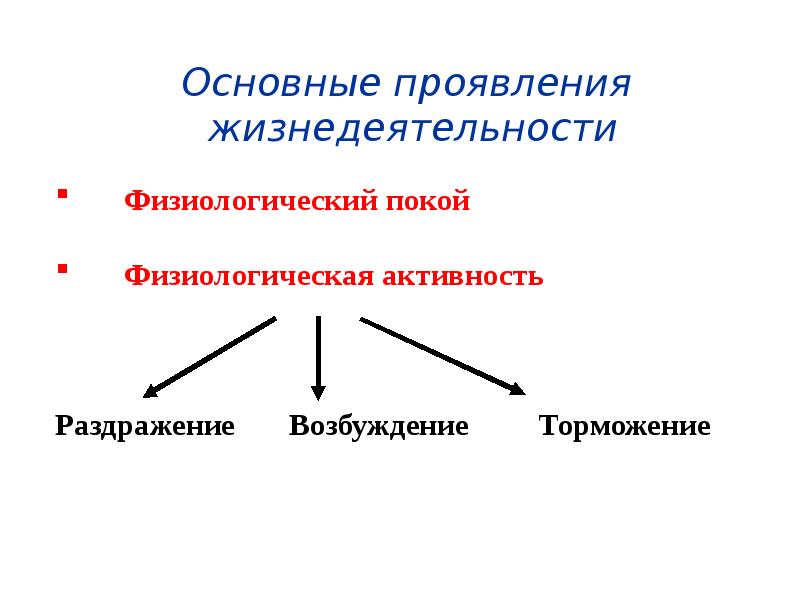 Презентация на тему физиология возбудимых тканей