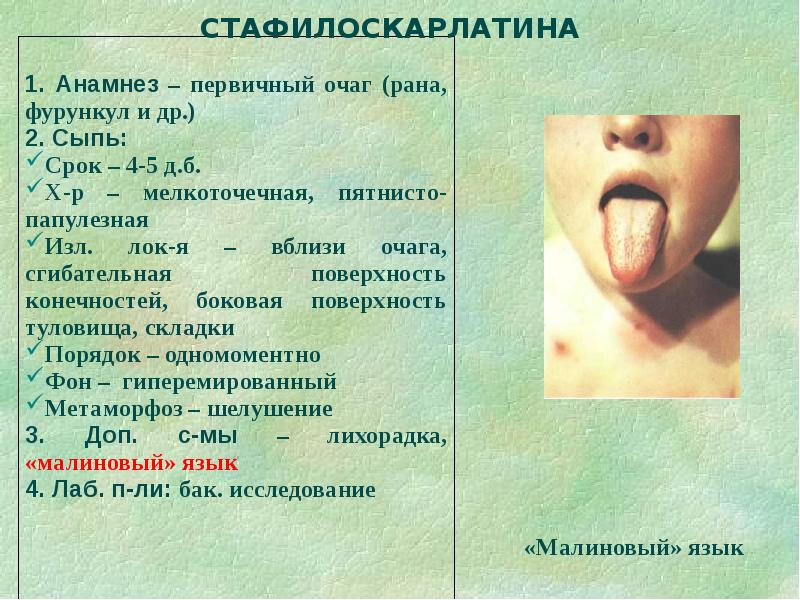 Дифференциальная диагностика сыпи презентация