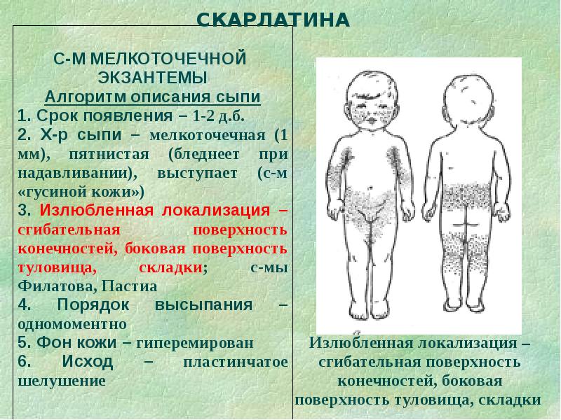 Дифференциальная диагностика сыпи презентация