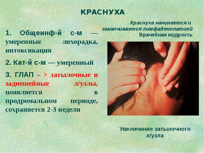 Дифференциальная диагностика сыпи презентация