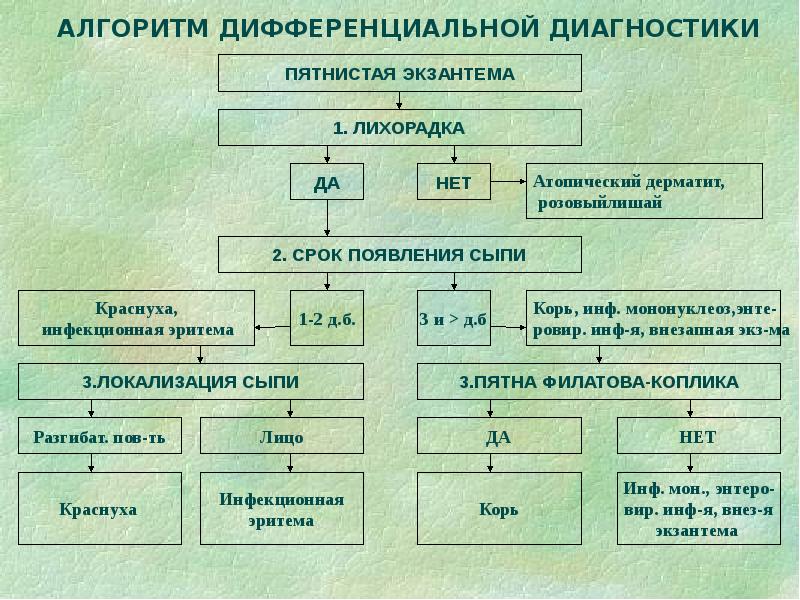 Дифференциальная диагностика сыпи презентация