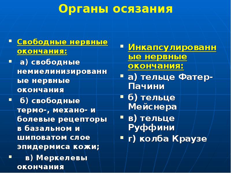 Органы чувств 3 класс презентация школа россии