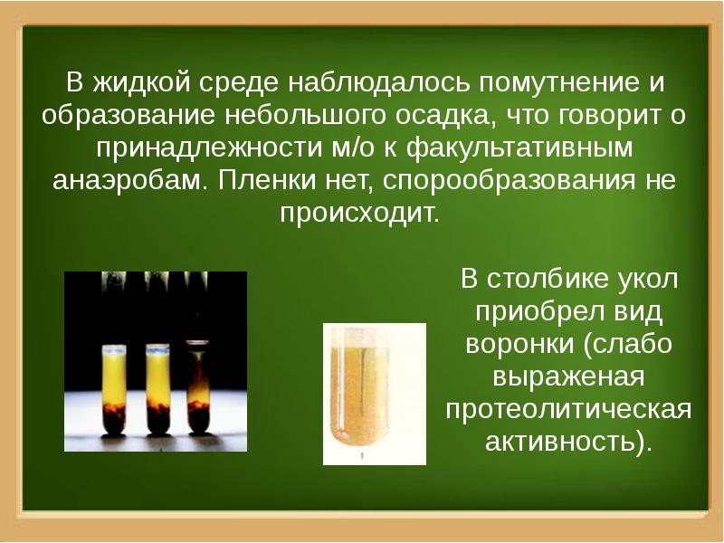 Наименьший образовано. Жидкие среды. Равномерное помутнение жидкой среды. Диффузное помутнение на жидкой среде. Мутные жидкие среды.