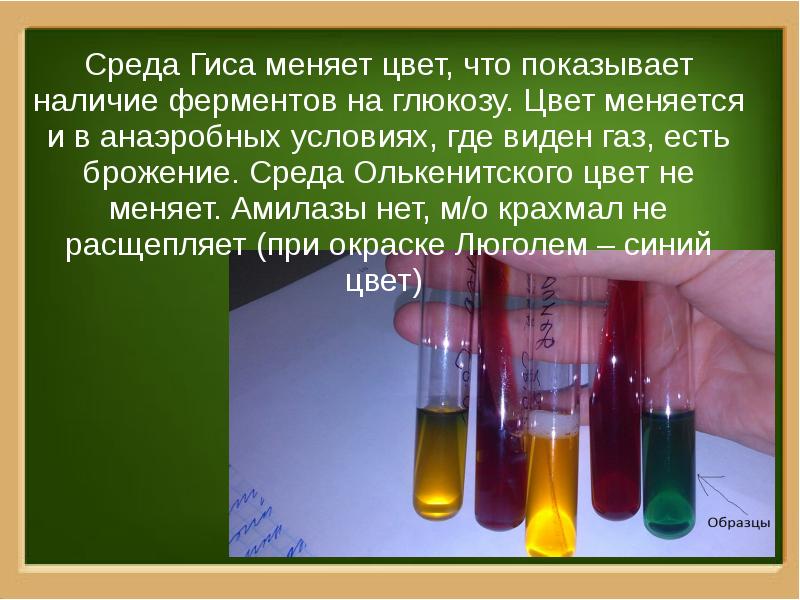 Среда какой цвет. Микробиология жидкие среды Гисса. Питательная среда Гиса. Среда Гиса микробиология. Полужидкая среда Гисса.