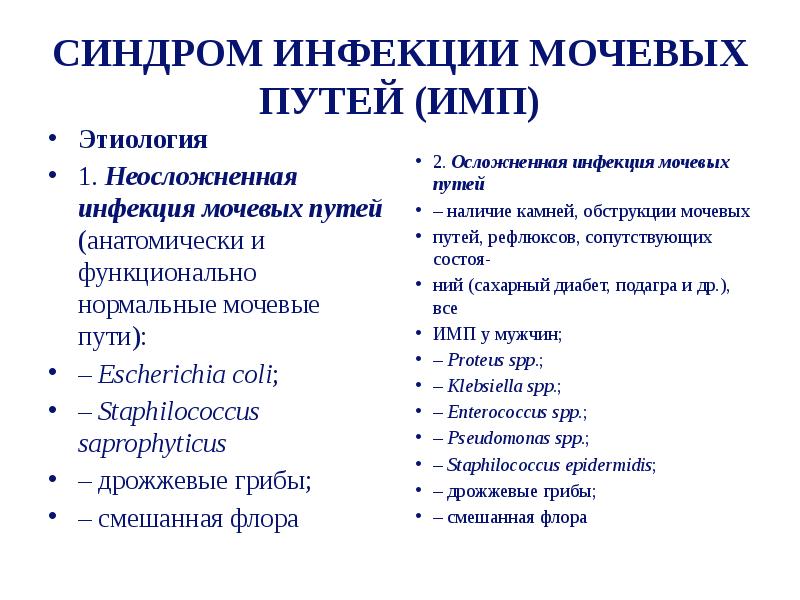 Инфекция мочевых путей