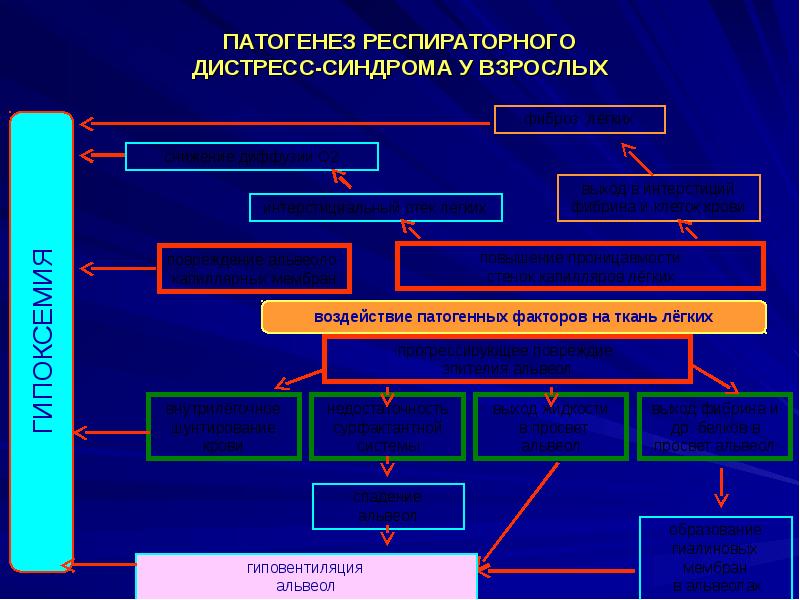 Механизм развития дыхательной гипоксии