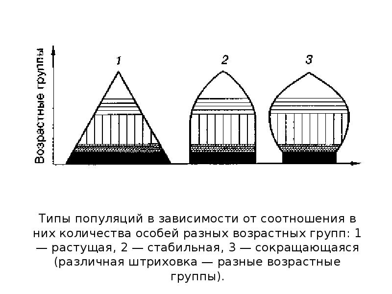 На схемах показана возрастная структура популяций какая из популяций наиболее жизнеспособна