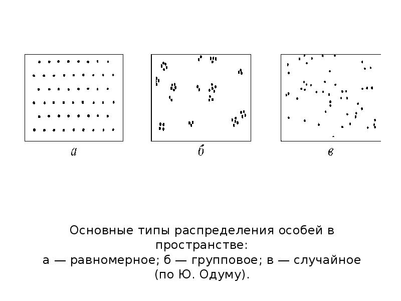 Пространство распределений. Равномерный Тип распределения популяции. Агрегированное распределение особей в пространстве. Типы пространственного распределения особей популяции. Типы пространственного распределения особей.