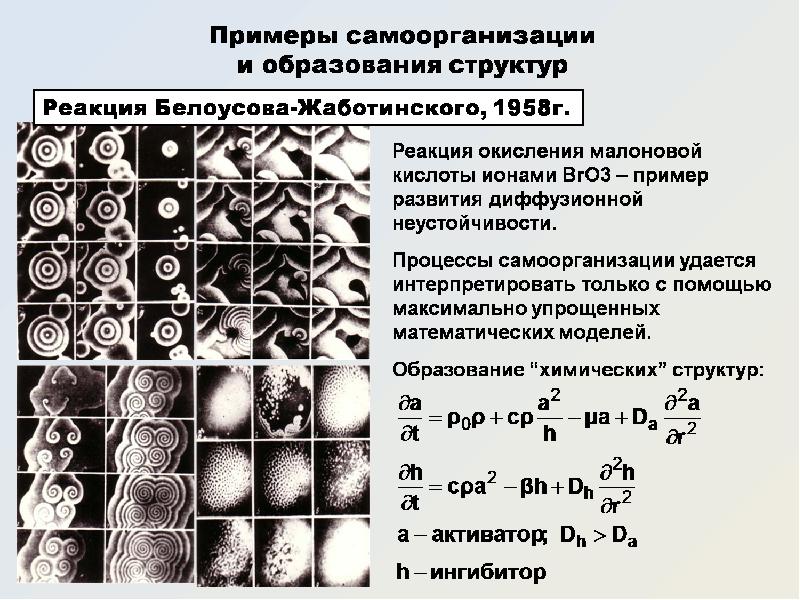 Структурная реакция. Реакция Белоусова-Жаботинского самоорганизации. Структуры динамического хаоса. Структура реакции. Реакция структурирования.