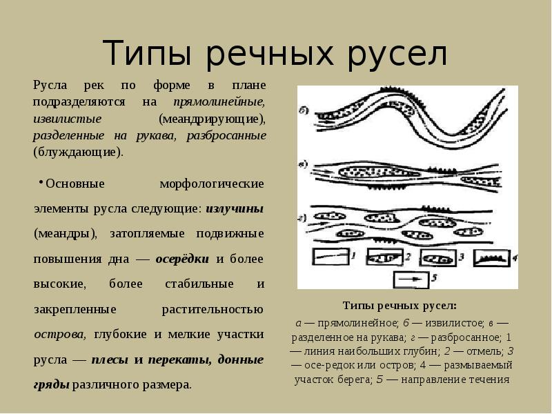 Форма реки