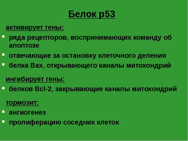Белок p53. Ген p53 функции. Белок p53. Белок р53 функции. Ген р53.