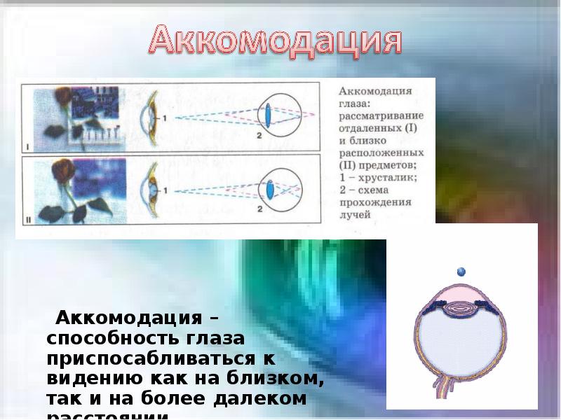 H 52.5 нарушения аккомодации