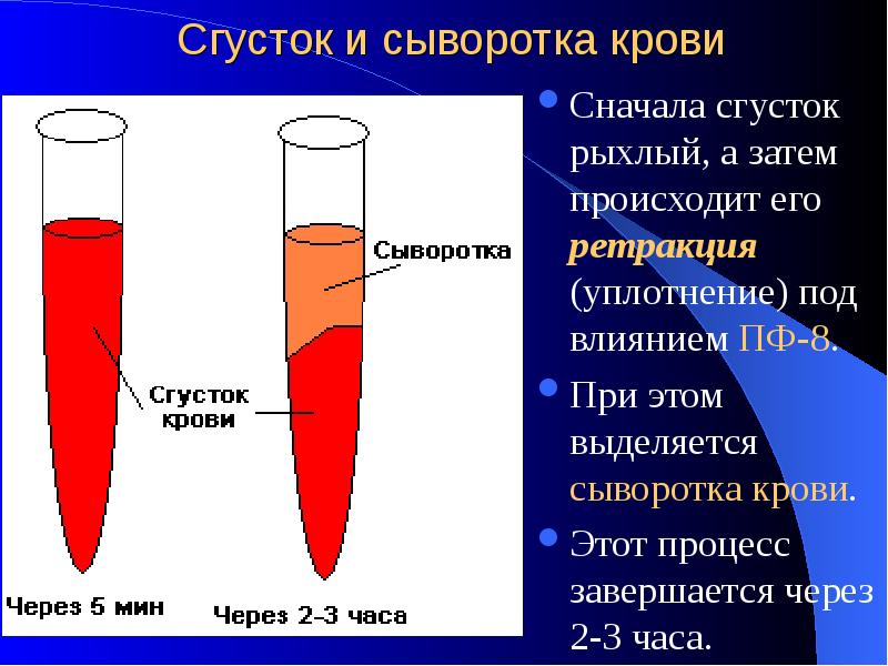  Foto 31