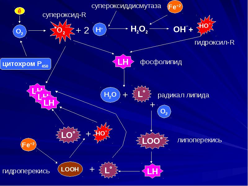 Повреждение клетки патофизиология презентация