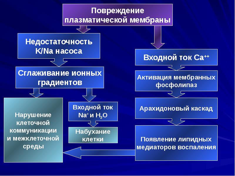 Повреждение клетки патофизиология презентация