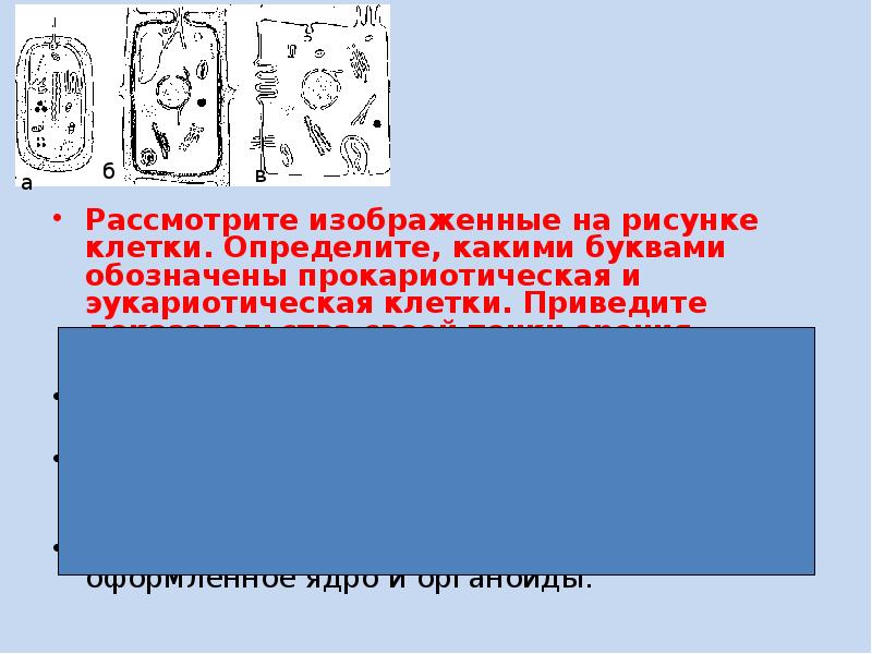 Рассмотрите изображенные на рисунке клетки определите какими буквами обозначены прокариотическая и