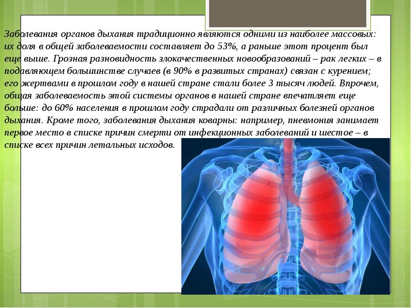 Легкие презентация