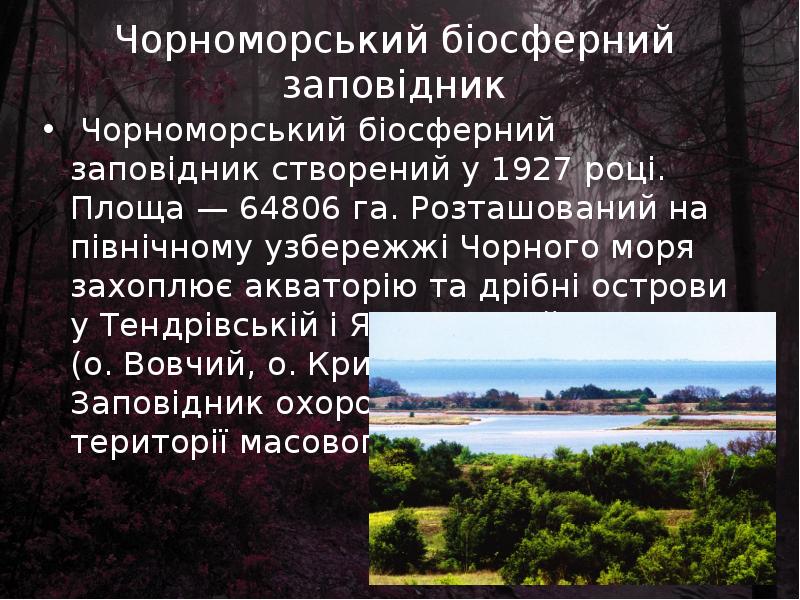 Реферат: Чорноморський біосферний заповідник