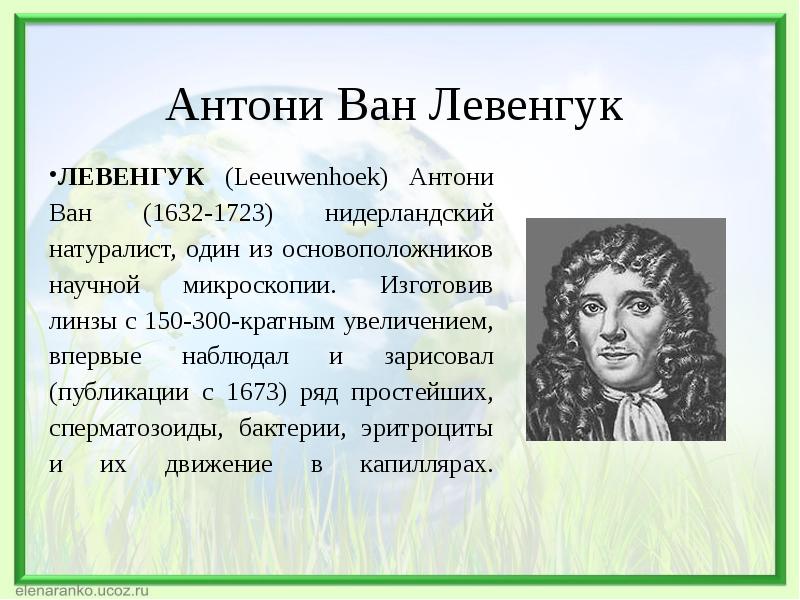 Антони ван левенгук вклад в биологию проект 9 класс