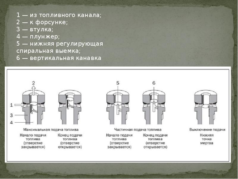 Презентация на тему тнвд