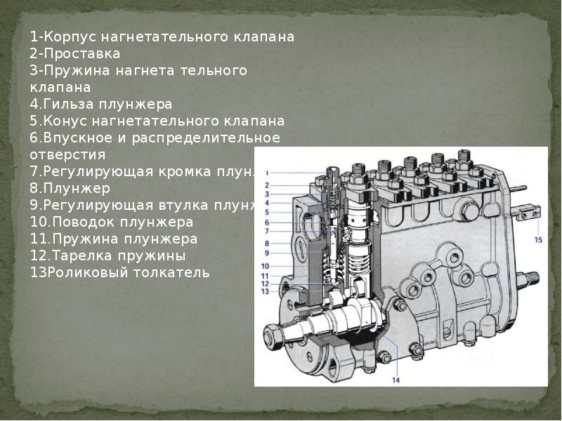 Презентация на тему тнвд