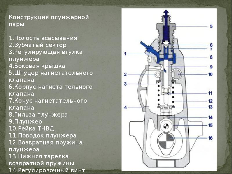 Презентация на тему тнвд