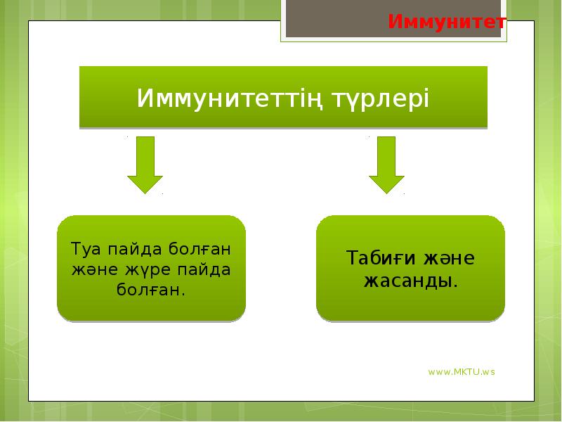 Иммунитет иммунная система презентация