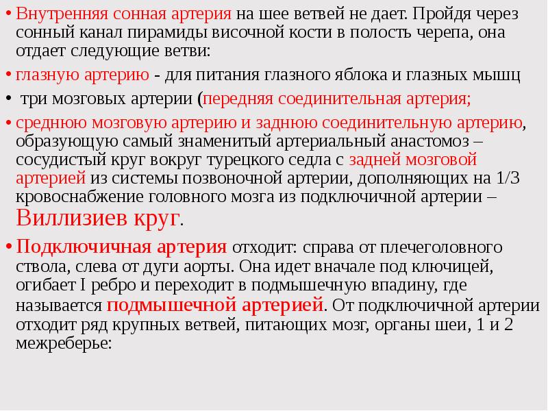 Вса что это. Ветви внутренней сонной артерии. Внутренняя Сонная артерия и ее ветви. Внутренняя Сонная артерия отходит от. Внутреняясоннаяартерия ветви.