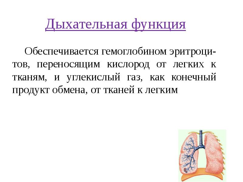 Гемоглобин дыхание. Дыхательная функция легких. Дыхательная функция крови. Дыхательная функция гемоглобина. Дыхательную функцию крови выполняют.