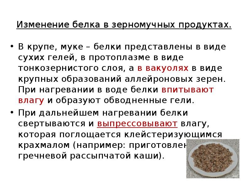 Белки муки