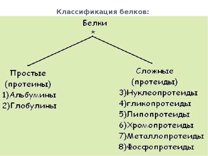 Белки классификация белков. Классификация сложных белков. Классификация простых и сложных белков. Классификация простых белков биохимия таблица. Классификация белков. Характеристика простых и сложных белков..