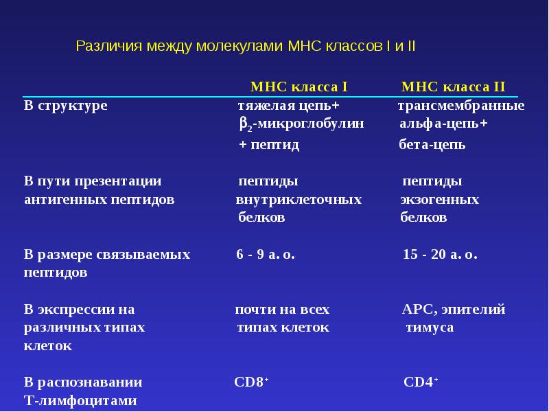 Различия между i и i. МНС 2 строение. MHC 1 И 2 класса отличия. MHC класса i. Функции МНС 1 И 2 класса.