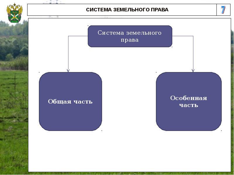 Принципы земельного участка. Система земельного права схема. Система источников земельного права схема. Система земельного права таблица. Структура особенной части земельного права.