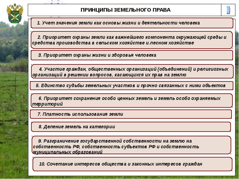 Расположите последовательно стадии проекта по методу kanban или подхода баланса