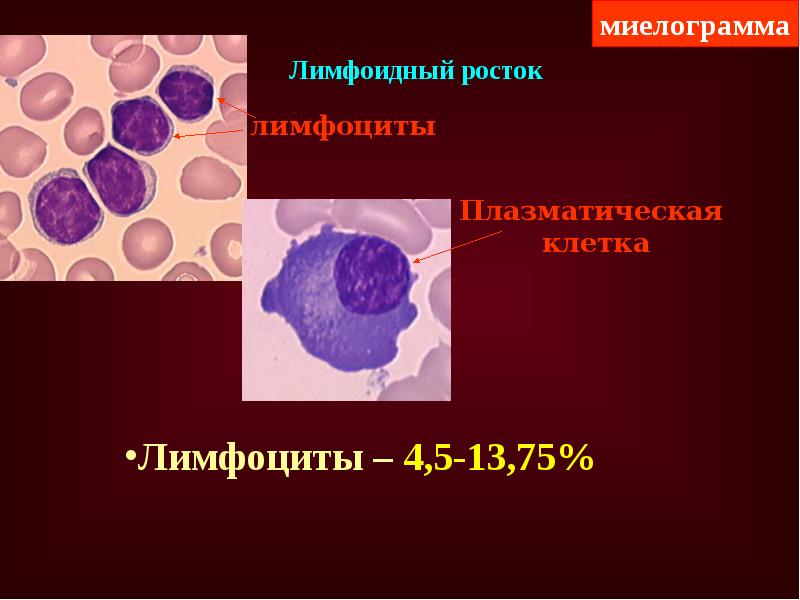 Картина крови при воспалительных заболеваниях