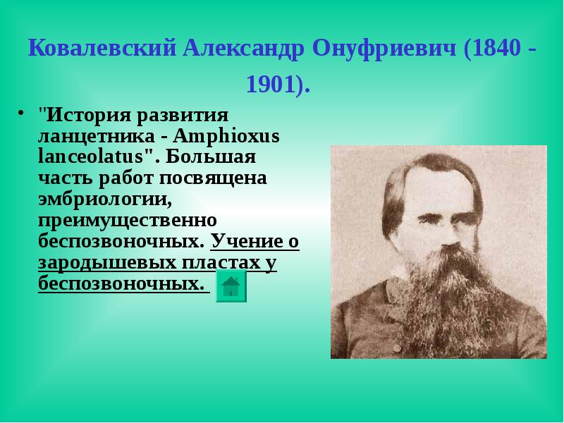 Что исследовал ковалевский. Александр Онуфриевич Ковалевский ланцетник. Александр Онуфриевич Ковалевский вклад в эмбриологию. Александр Онуфриевич Ковалевский (1840-1901). В О Ковалевский вклад.