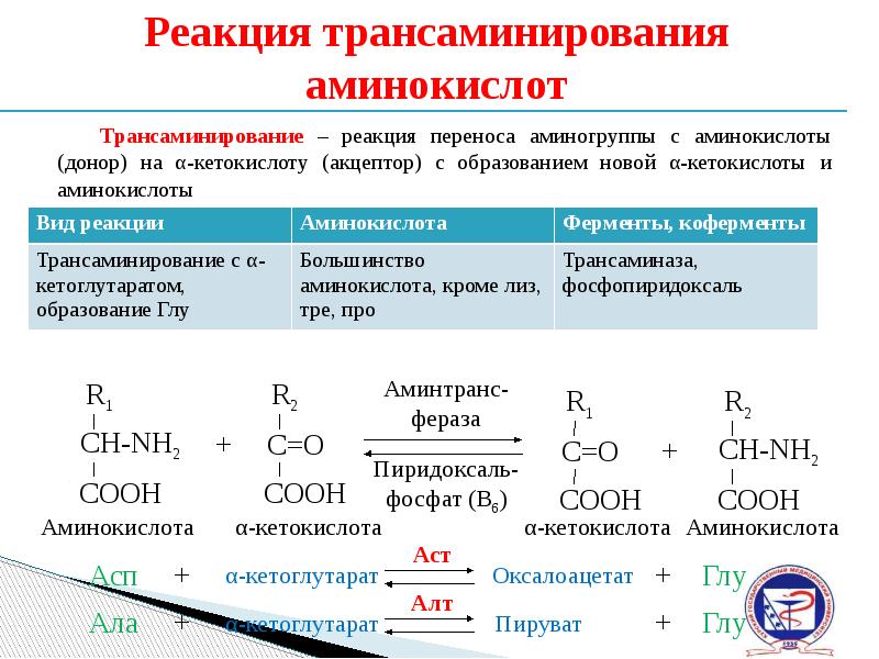 Перенос аминокислот