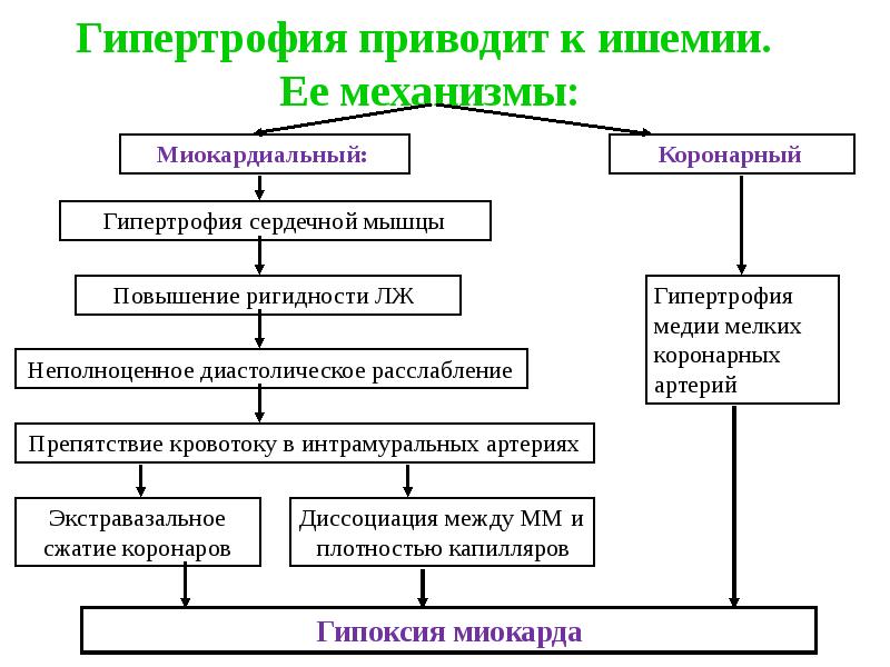 Гипертрофия приводит к ишемии. Ее механизмы: Гипертрофия приводит к ишемии. Ее механизмы: