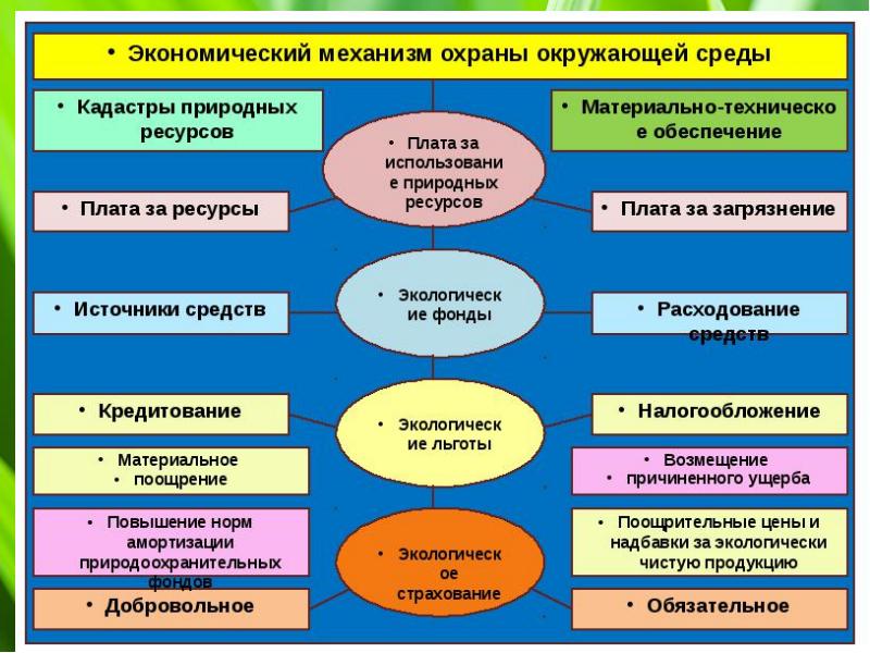 Управление в области охраны окружающей среды схема