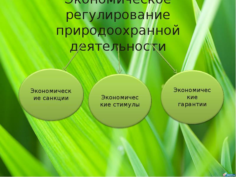 Экологическое регулирование. Экономическое регулирование в области окружающей среды. Регулирование экологии. Область регулирования природоохранной деятельности. Природоохранная деятельность экономика.