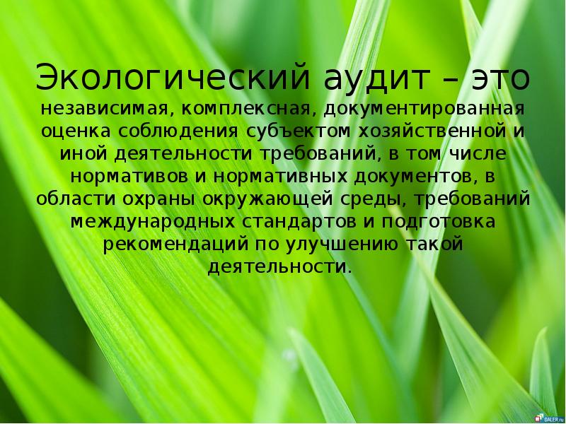 Экологический аудит. Экологический аудит презентация. Экологический аудитор. Аудит в сфере охраны окружающей среды.