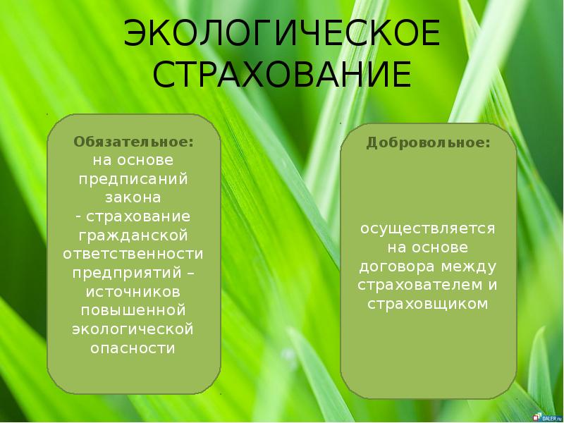 Страхование экологических рисков презентация