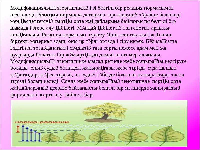 Модификациялық өзгергіштік презентация